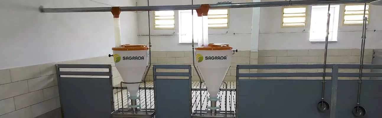 Линия кормления свиней, оборудование для кормления свиней