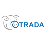 Отрада