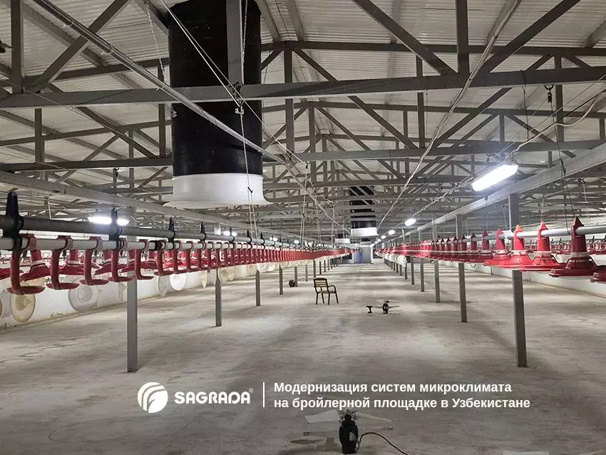 Статьи