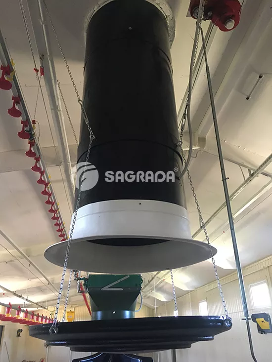 содержание гусей