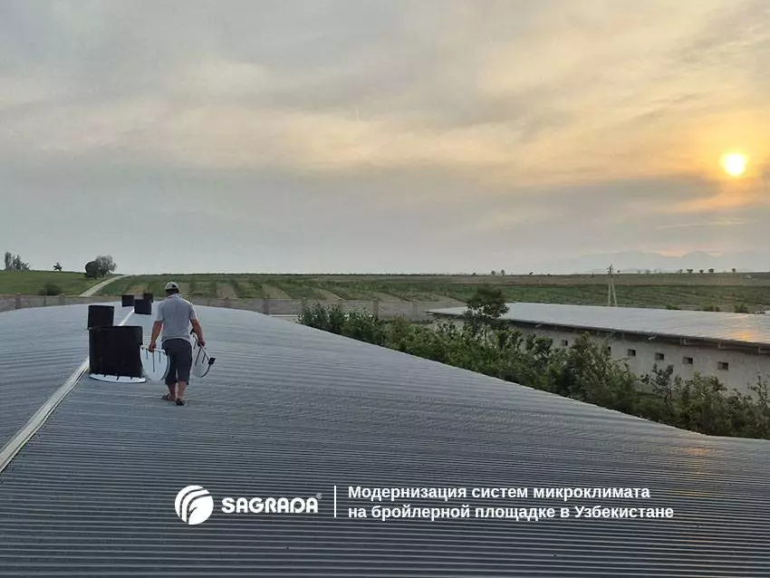 Статьи