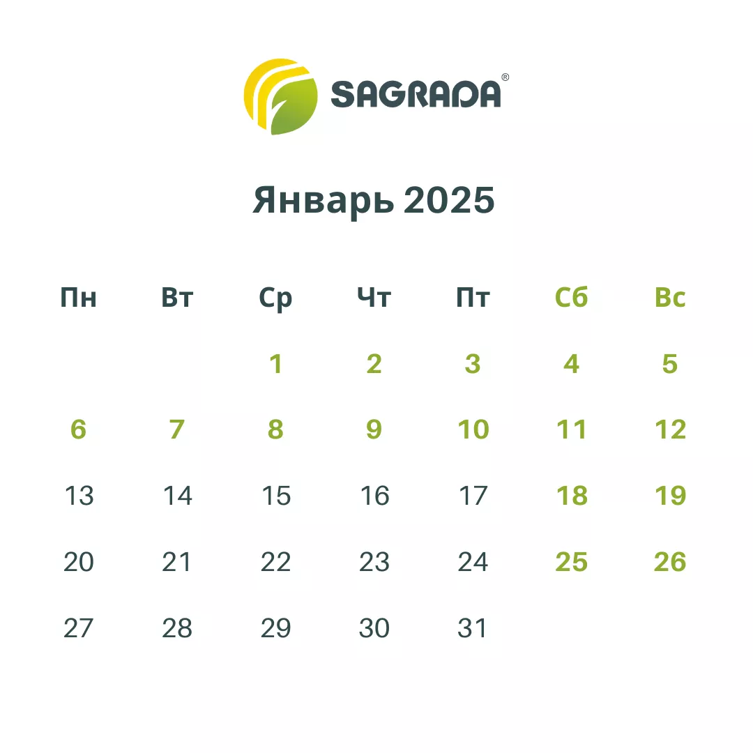 Статьи