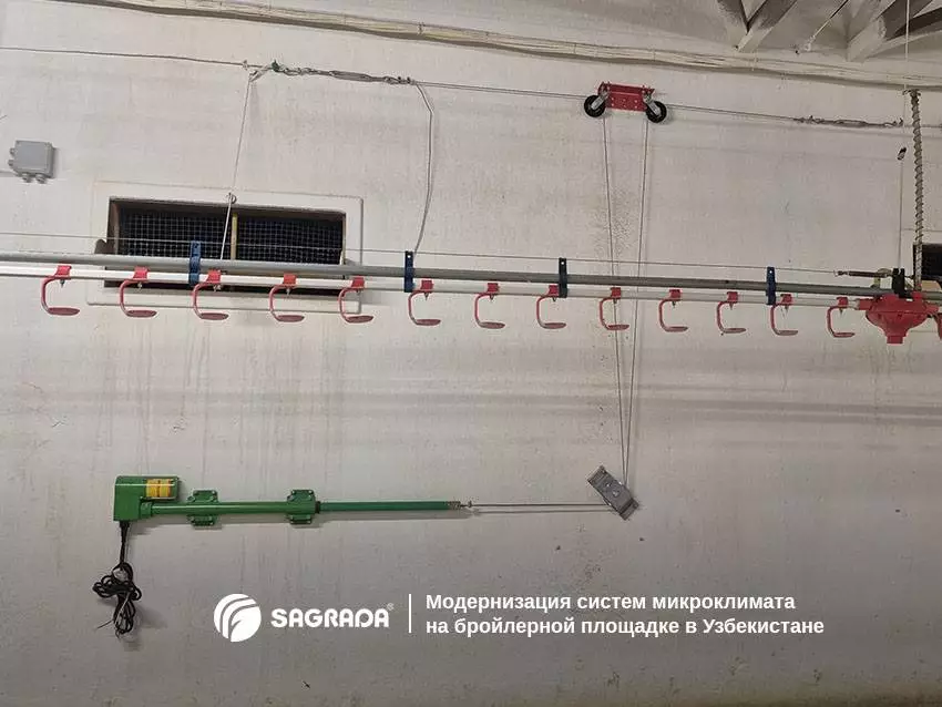Статьи