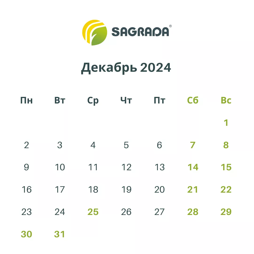 Статьи