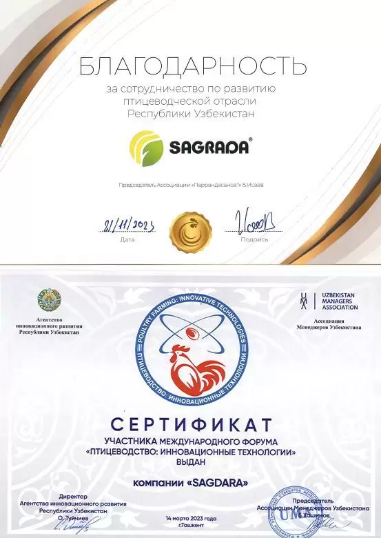Наши награды